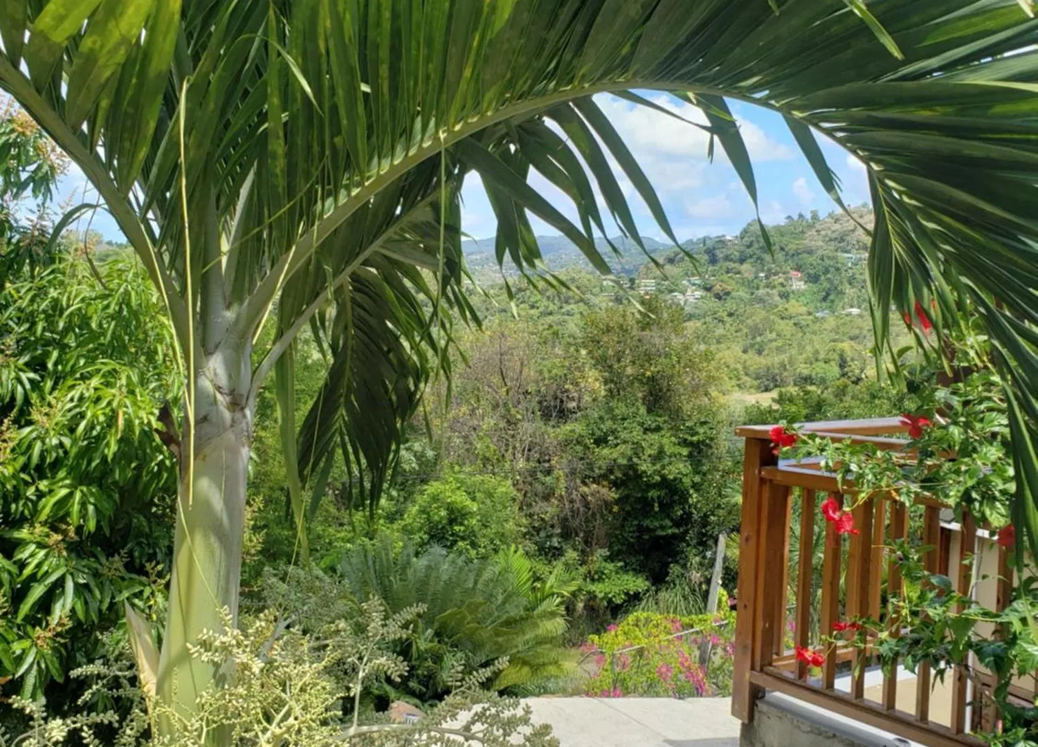Memwa Villas Castries Saint Lucia