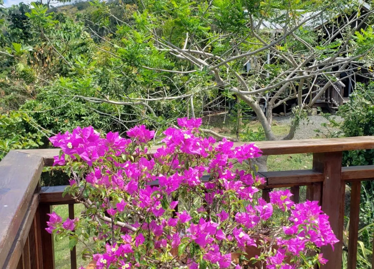Memwa Villas Castries Guest house